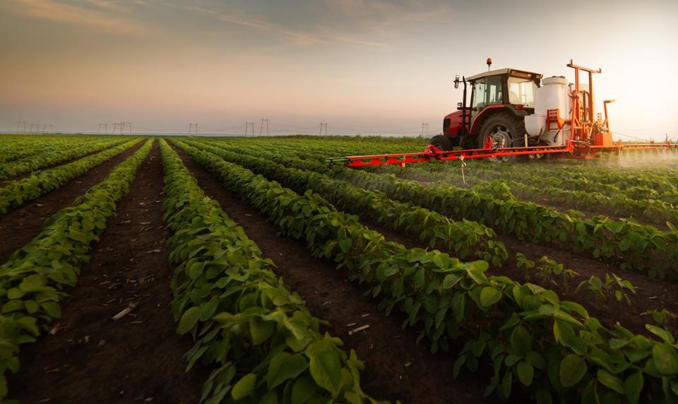 Can Foreigners Buy Agricultural Land in Georgia?